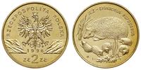 2 złote 1996, Warszawa, Jeż, nordic gold, piękny