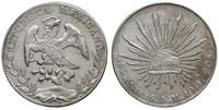 8 reali 1896/Mo-AM, Meksyk, srebro "902" 27.14 g