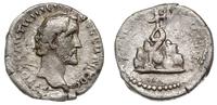 denar 138-161, Aw: Głowa cesarza w prawo, wokoło