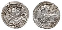 denar 1157-1166, Aw: Popiersie księcia z mieczem
