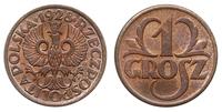 1 grosz  1928, Warszawa, piękny, Parchimowicz 10