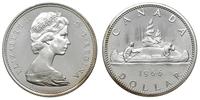 1 dolar 1966, odmiana z średniej wielkości pereł