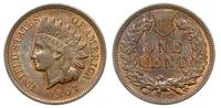 1 cent 1907, Filadefia, brąz, wyśmienicie zachow