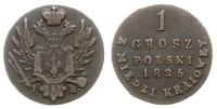 grosz z miedzi krajowej 1825 I-B, Warszawa, Plag