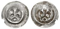 brakteat guziczkowy 1270-1294 (?), Lilia na łuku