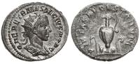 antoninian 250, Rzym, Aw: Popiersie cezara w pra