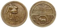 medal Towarzystwa Automobilistów i Cyklistów, ni