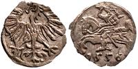 denar 1556, Wilno