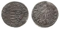 denar 1444, Hermannstadt, Aw: Herb węgierski i n