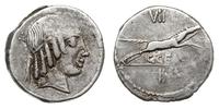 denar 88, Rzym, Aw: Głowa Apollina w diademie w 
