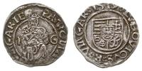 denar 1519/K-G, Huszár 841