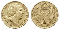 20 franków 1817 A, Paryż, złoto 6.39 g, Fr. 538,