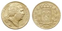 20 franków 1820 A, Paryż, złoto 6.39 g, Fr. 538,