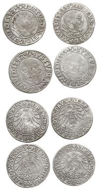 zestaw groszy 1532, 1533, 1534 i 1542, Królewiec
