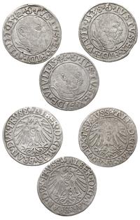 zestaw groszy 1538, 1541 i 1542, Królewiec, raze