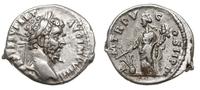 denar 197, Laodicea ad Mare, Aw: Popiersie w pra