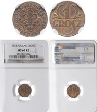 1 grosz 1923, Kings Norton, moneta w pudełku NGC