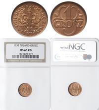 1 grosz 1937, Warszawa, moneta w pudełku NGC z n