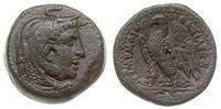 Æ-22 305-283 p.n.e., Aleksandria, Aw: Głowa Alek
