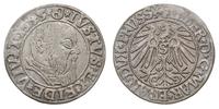 grosz 1543, Królewiec, Bahrf. 1195, Voss. 1390