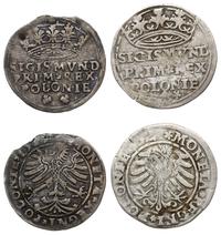 Polska, 2 x grosz, 1527 i 1545?