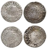Polska, 2 x grosz, 1534 i 1540