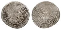 grosz 1506, Głogów, moneta królewicza Zygmunta j