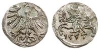 denar 1557, Wilno, piękny, Ivanauskas 2SA16-6, T