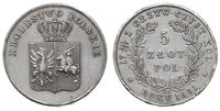 5 złotych 1831, Warszawa, moneta mocno wyczyszcz