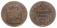 3 grosze (trojak) 1831/K-G, Warszawa, Iger PL.31