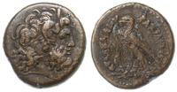 Æ-33 246-221 pne, Aleksandria, Aw: Głowa Zeusa A