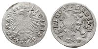 Polska, grosz litewski, 1609