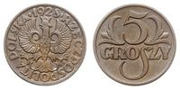 5 groszy 1928, Warszawa, moneta polakierowana, P
