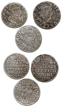 zestaw trojaków krakowskich, 1621, 1622 i 1624, 