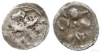 denar XV w., Aw: Kwiat o trzech płatkach, Rw: Gr