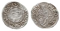denar 1520/K-A, Kremnica, Aw: Tarcza herbowa i n