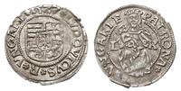 denar 1527/L-K, Kremnica, denar pośmiertnie wybi