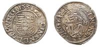 denar 1531/K-B, Kremnica, Aw: Tarcza herbowa i n