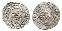 denar 1538/K-B, Kremnica, Aw: Tarcza herbowa i n