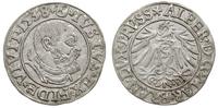 grosz 1538, Królewiec, bardzo ładny, Bahr. 1167,