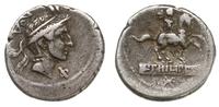 denar 113-112 pne, Rzym, Aw: Głowa Filipa V Mace