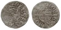 denar 1481-1513, Malmö, Aw: Ukoronowana gotycka 
