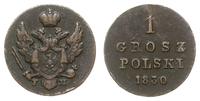 1 grosz polski 1830 FH, Warszawa, Bitkin Н1060 (