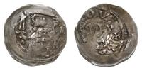 denar po roku 1264, Szczecin, Aw: Popiersie na w