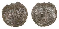 denar 1592, Wschowa, lekko wyszczerbiony krążek,
