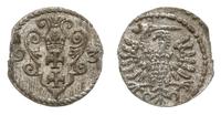 denar 1593, Gdańsk, CNG 145.IV, Kop. 7459 (R3), 