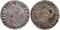 grosz 1543, Królewiec, pruska moneta lenna
