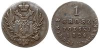 Polska, 1 grosz polski z miedzi krajowej, 1824