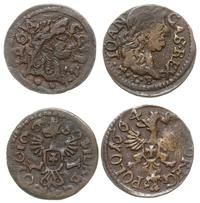 Polska, 2 x szeląg koronny (boratynka), 1664 i 1665