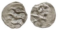 denar XIV-XV w., Aw: Trzy fale, Rw: Gryf krocząc